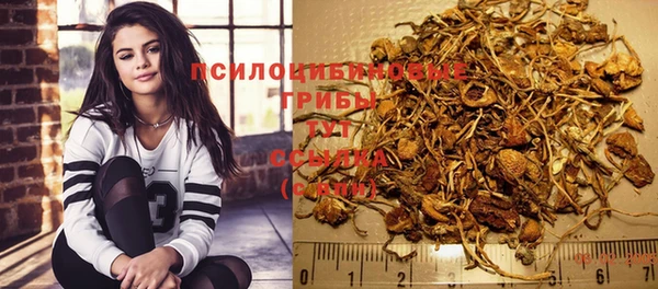 трава Армянск